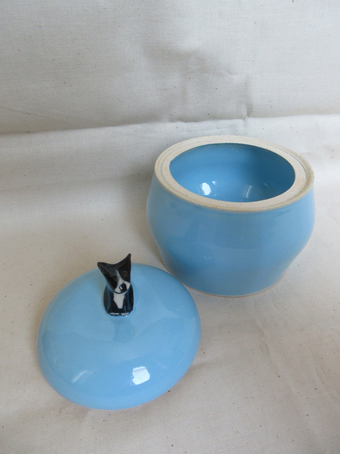 Jar - Doggie 1