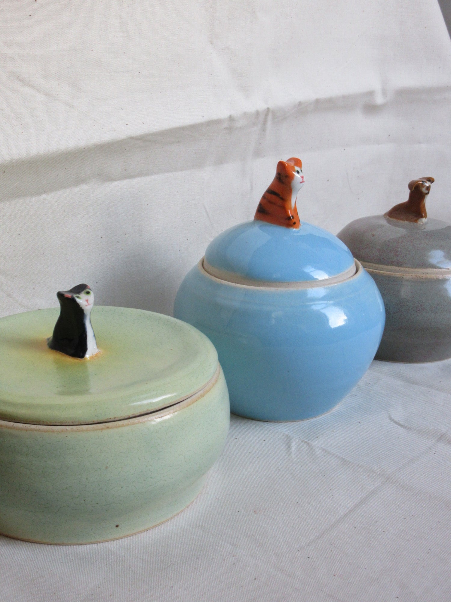 Pet Jars