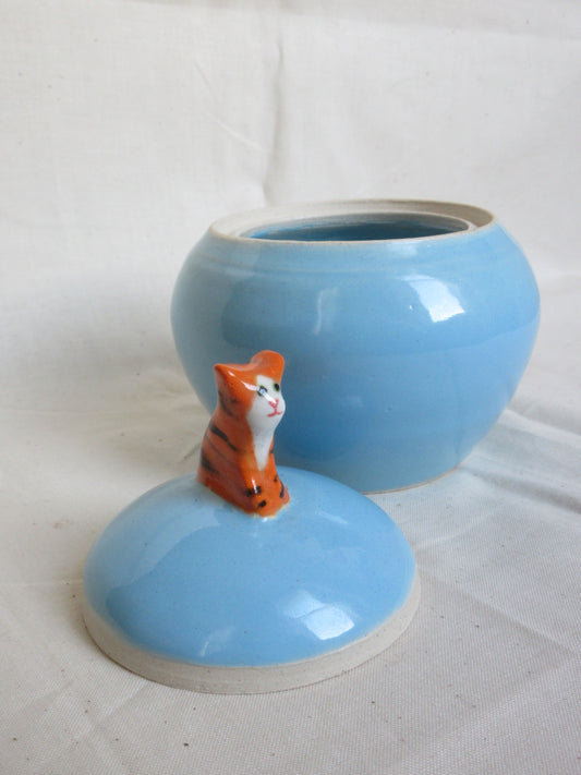 Jar - Kitty 2