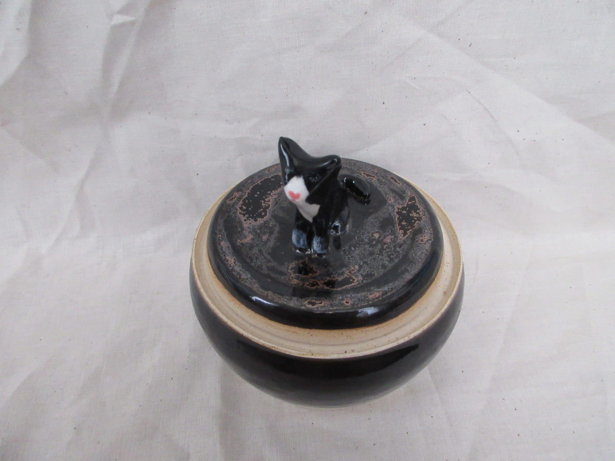 Jar - Kitty 4