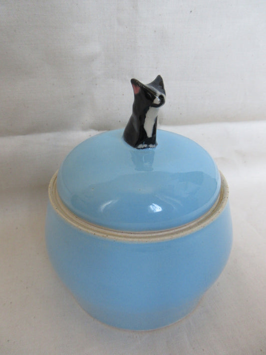 Jar - Doggie 1